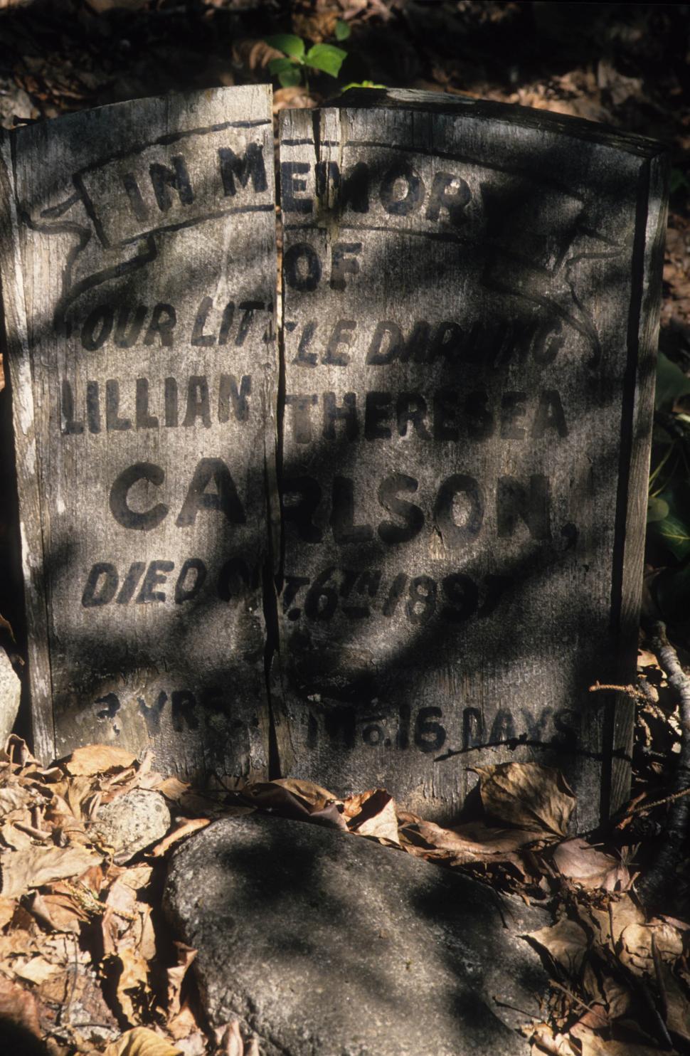 Free Image of Cracked gravestone 