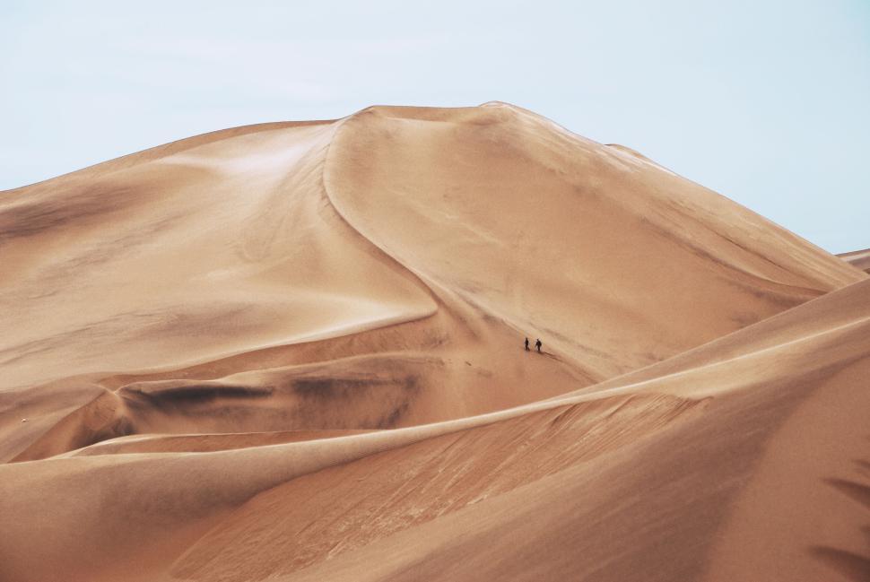 Free Image of Expansive desert with rolling sand dunes under a clear blue sky. 