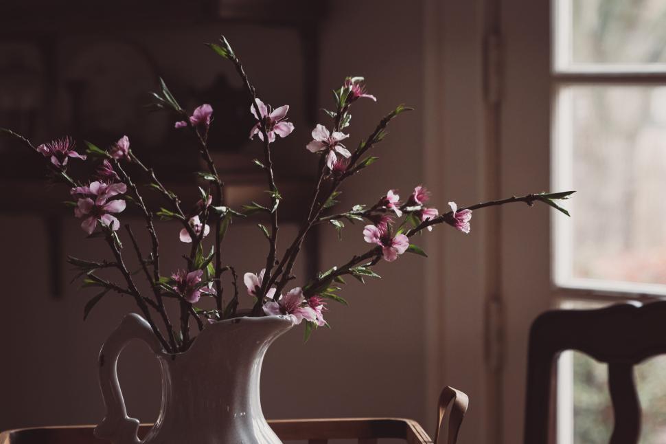 Free Image of Elegant branches with pink flowers in white vase by a window. 