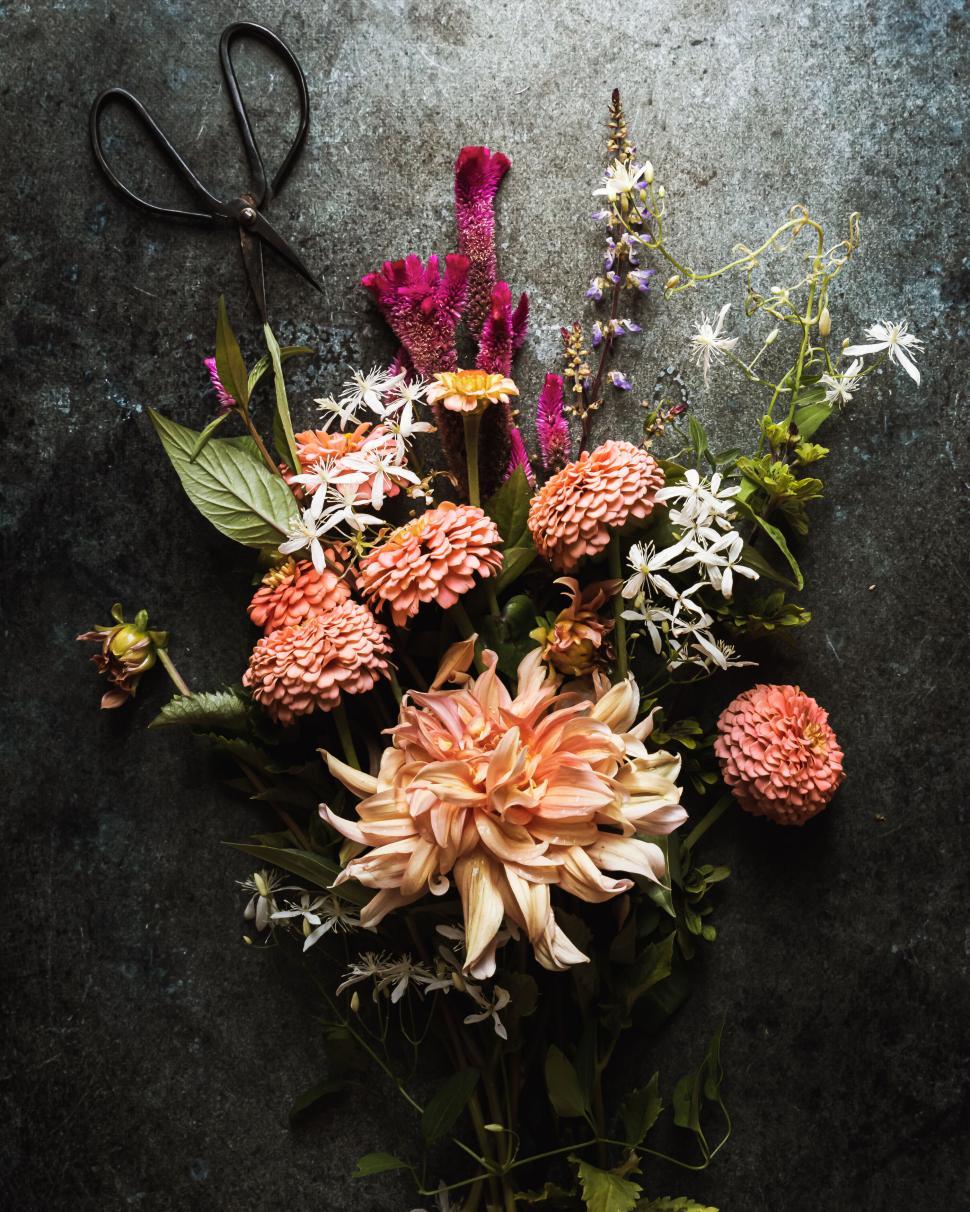 Free Image of Assorted flowers and herbs arranged artistically on grey texture. 