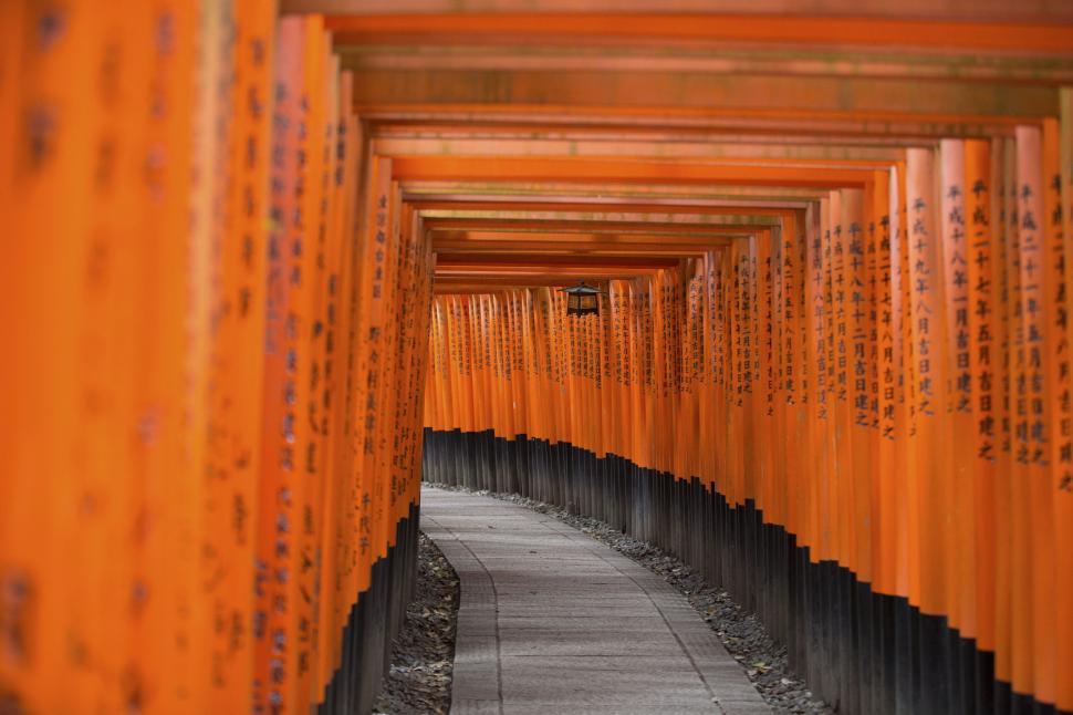 Free Image of Pathway through vibrant red torii gates at a historical shrine 