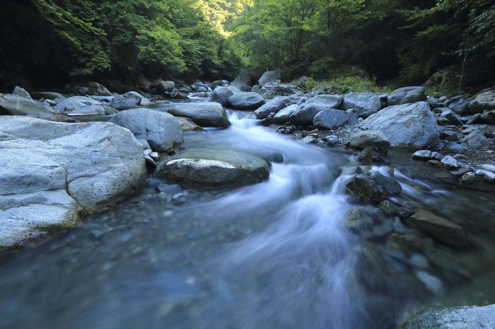 Free Image of Crystal clear river flowing over rocks in lush forest environment 