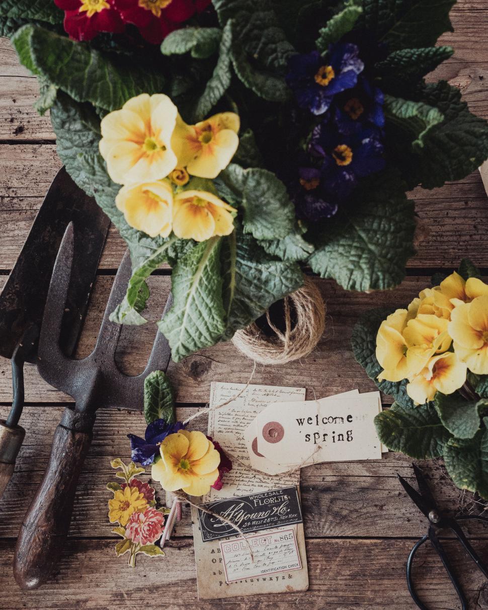 Free Image of Garden tools and vibrant flowers arranged on rustic wooden surface 
