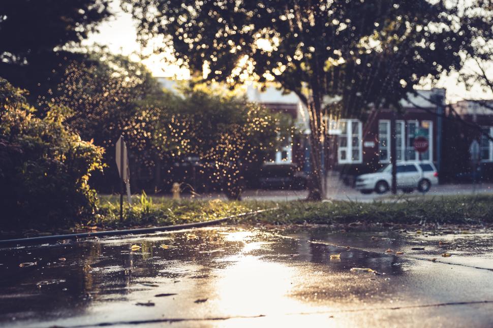 Free Image of Sunlit garden sprinkler sprays water droplets on lush greenery 