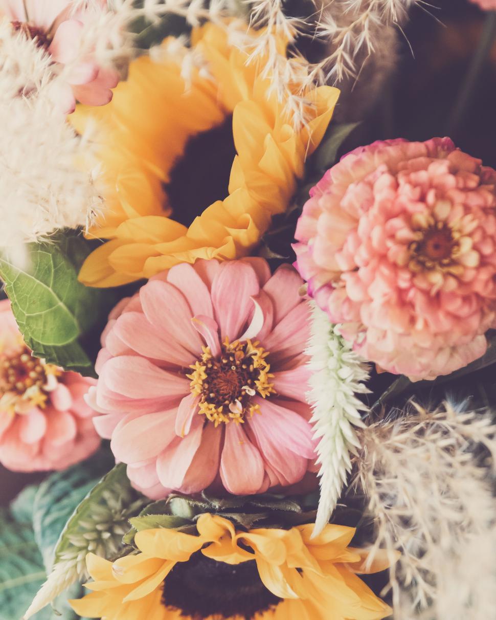 Free Image of Colorful mixed flower bouquet featuring sunflowers and zinnias. 