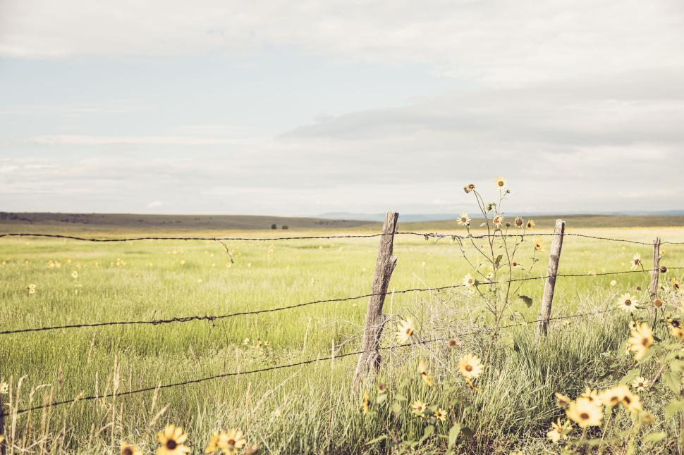 Free Image of Rustic fence in a meadow with yellow wildflowers under a cloudy sky. 