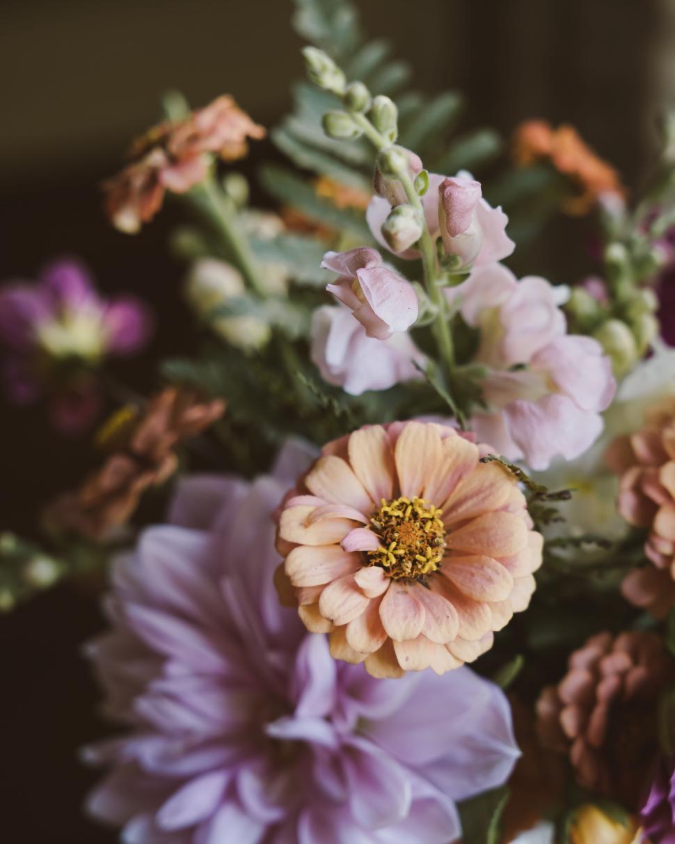Free Image of Floral arrangement of mixed flowers showcasing natural beauty 