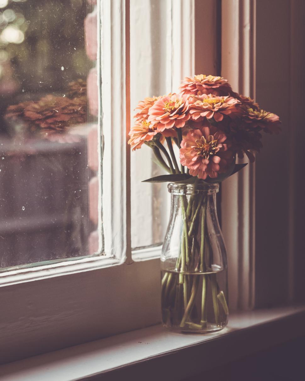 Free Image of Glass bottle vase with vibrant flowers against a window backdrop 