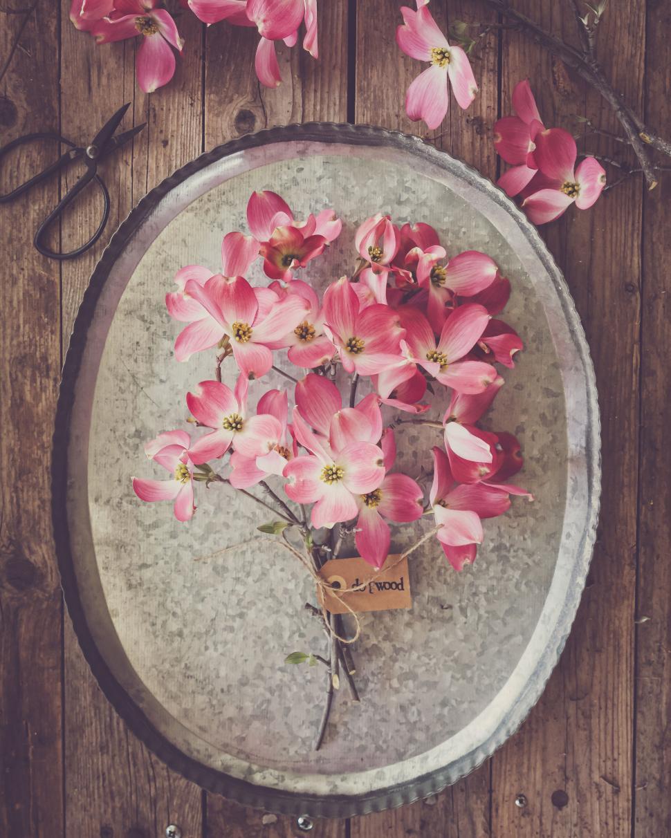 Free Image of Bouquet of pink dogwood flowers placed on a metal tray for display. 
