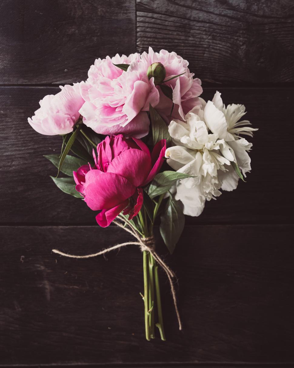 Free Image of Bouquet of soft pink and white peonies with twine against dark wood. 