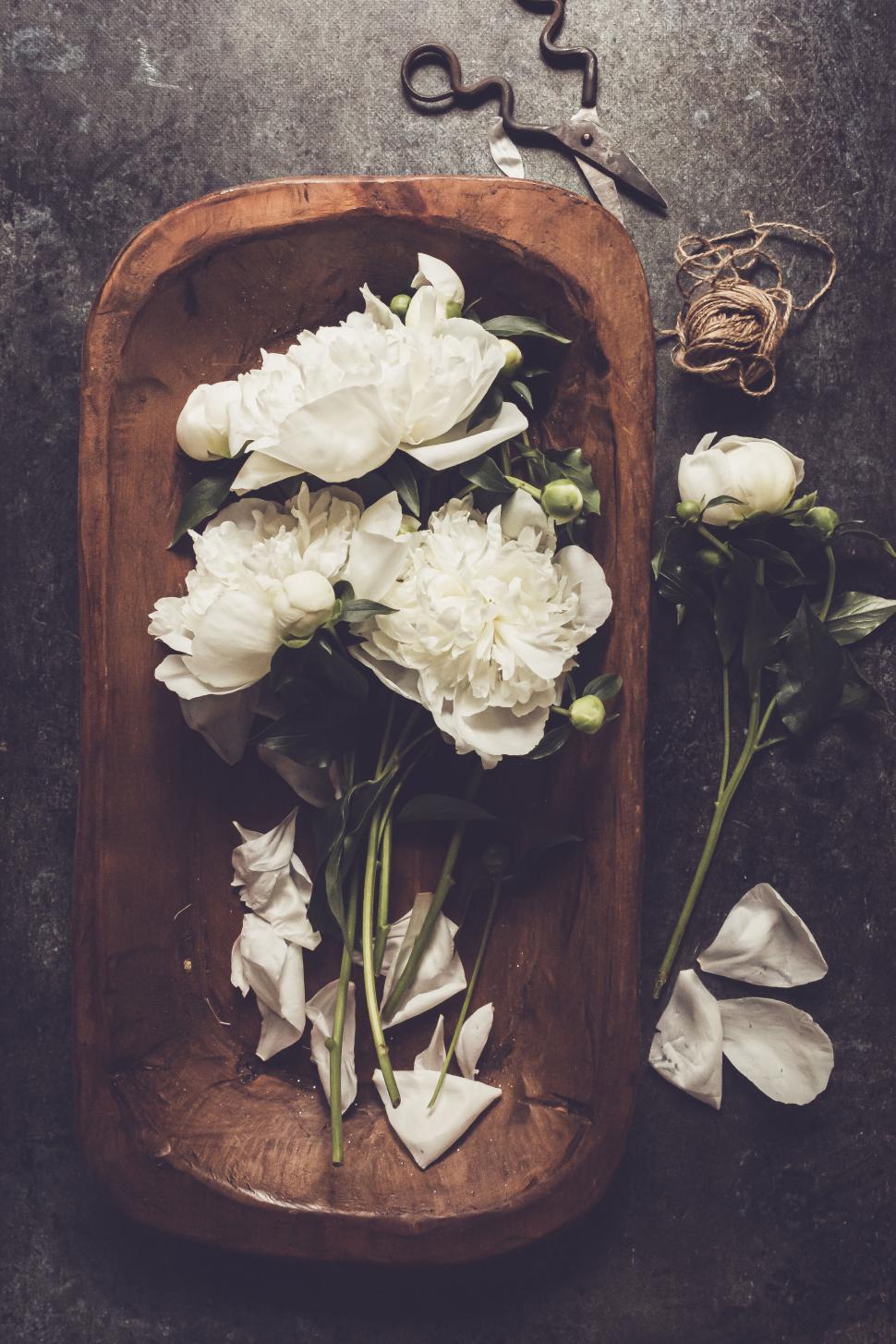 Free Image of White peonies arranged with gardening tools on a wooden tray. 
