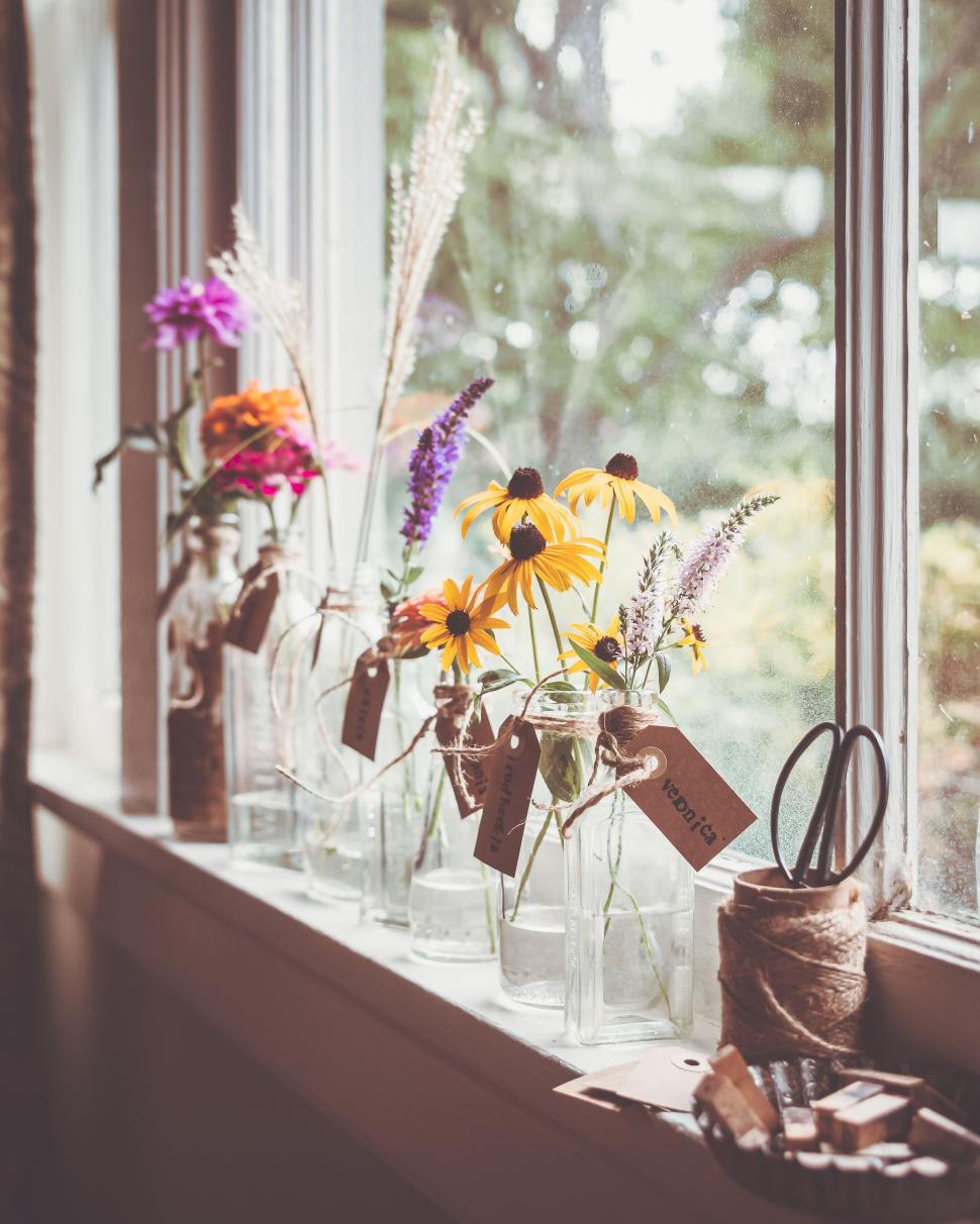Free Image of Variety of wildflowers in glass vases on a sunlit windowsill 