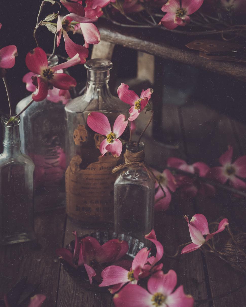 Free Image of Vintage bottles and pink flowers create nostalgic, rustic vignette 