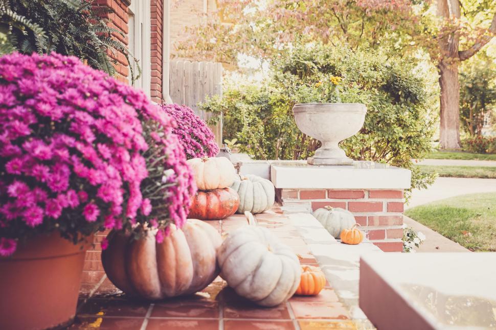 Free Image of Front porch adorned with pumpkins and chrysanthemums in autumn 