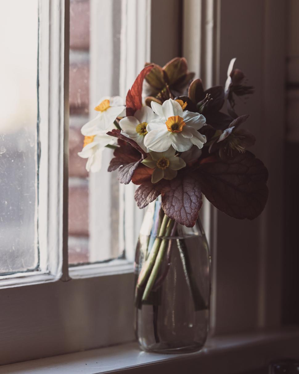 Free Image of Sunlit vase of white flowers sits gracefully on a windowsill 