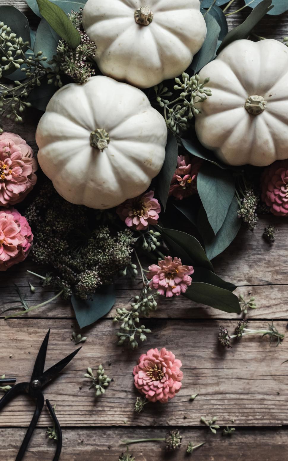 Free Image of White pumpkins and pink flowers arranged on a rustic wooden table 