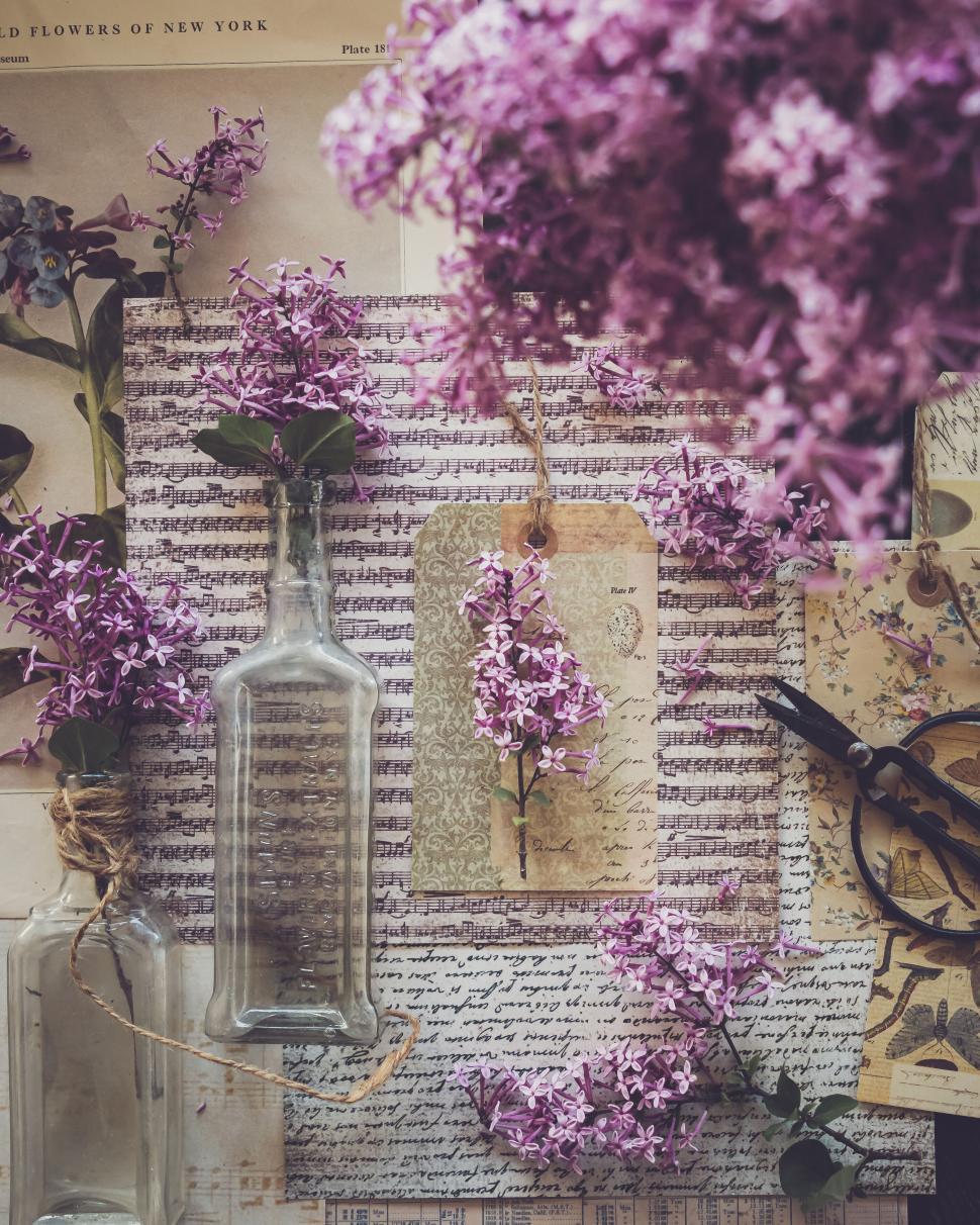 Free Image of Vintage lilac-themed collage with bottles and handwritten notes 