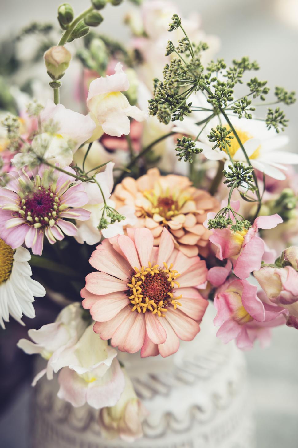 Free Image of Vivid bouquet of mixed flowers in white vase with natural lighting 