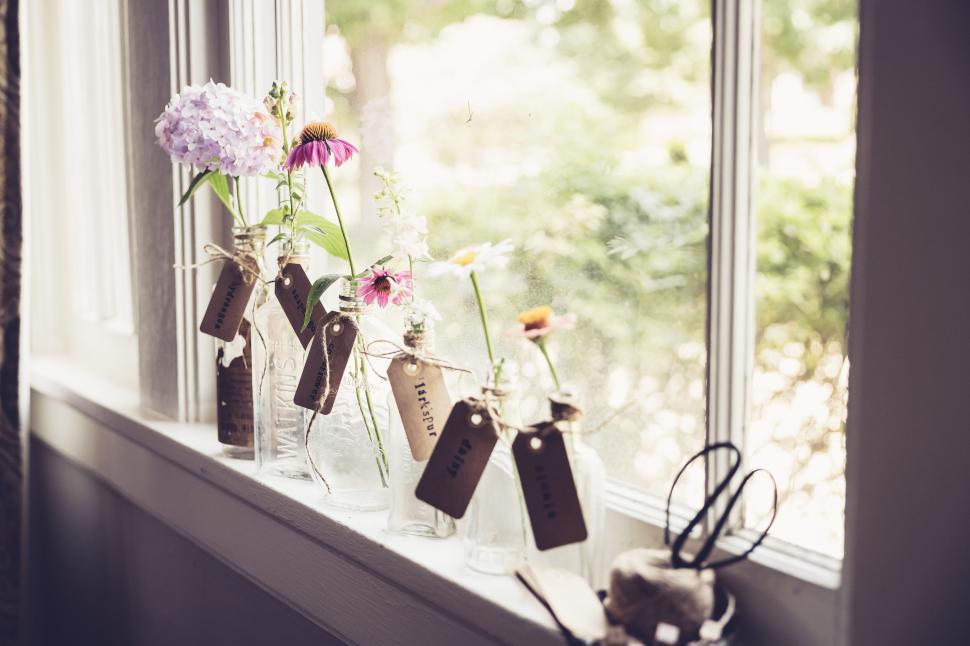 Free Image of Five glass bottles with labeled flowers arranged on a windowsill. 