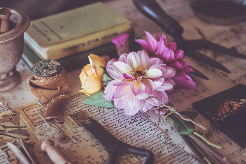 Free Image of Freshly picked bouquet of flowers with vintage gardening tools. 