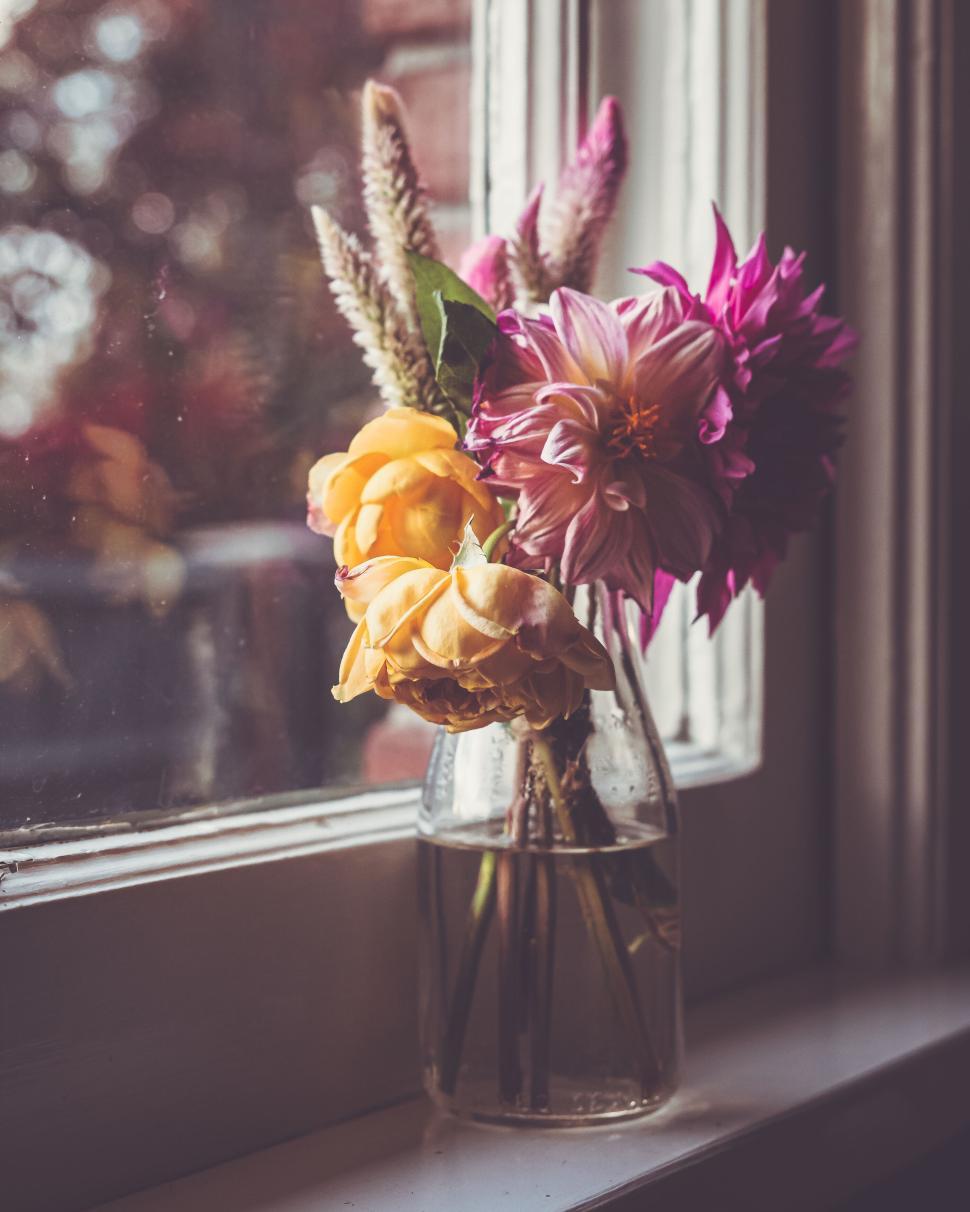Free Image of Vibrant mixed flowers in a vase on windowsill with natural light 