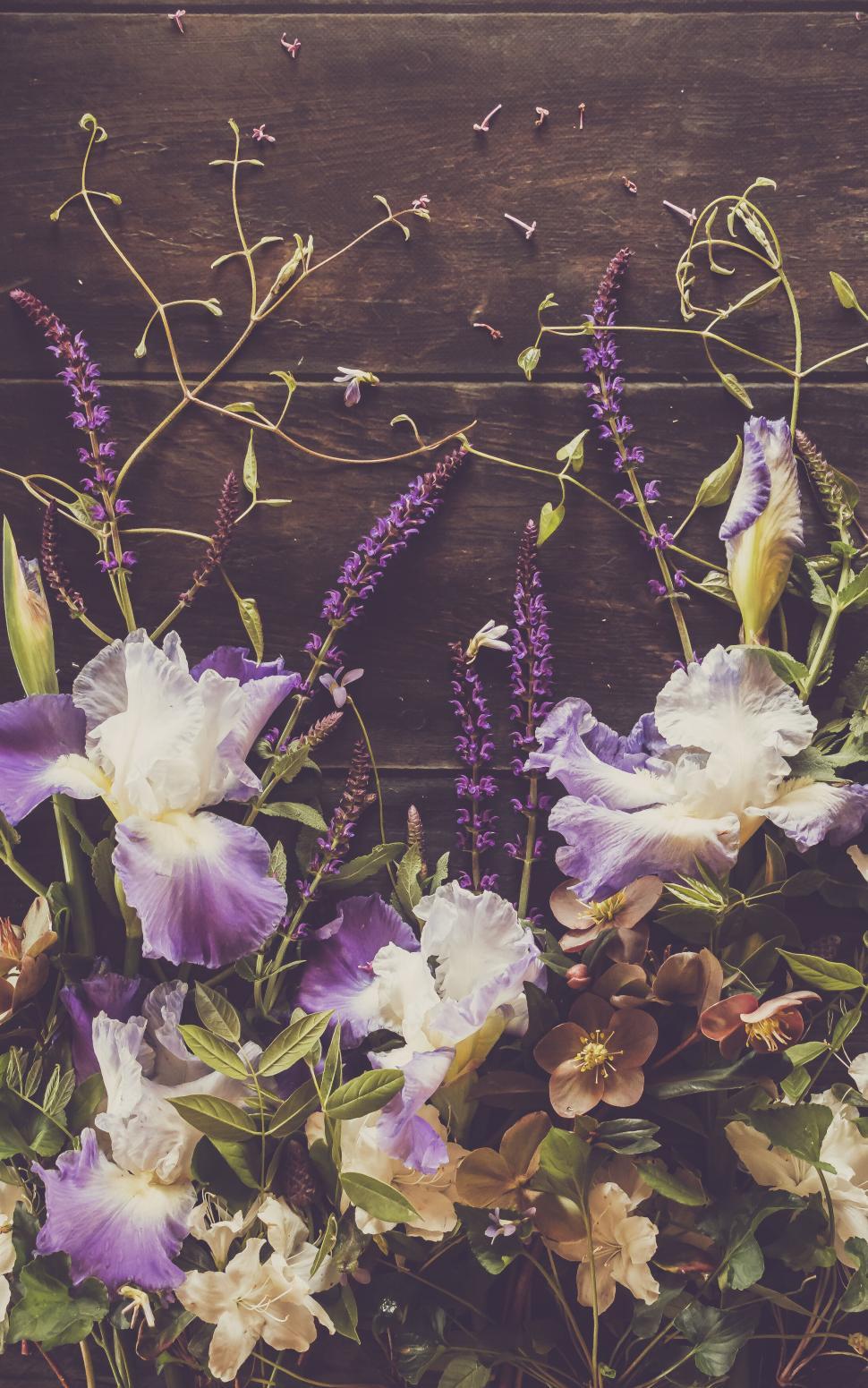 Free Image of Elegant arrangement of diverse flowers on wooden background table. 