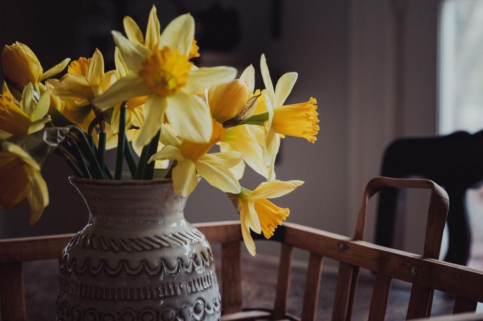 Free Image of Bouquet of yellow daffodils arranged in ornate ceramic vase indoors. 
