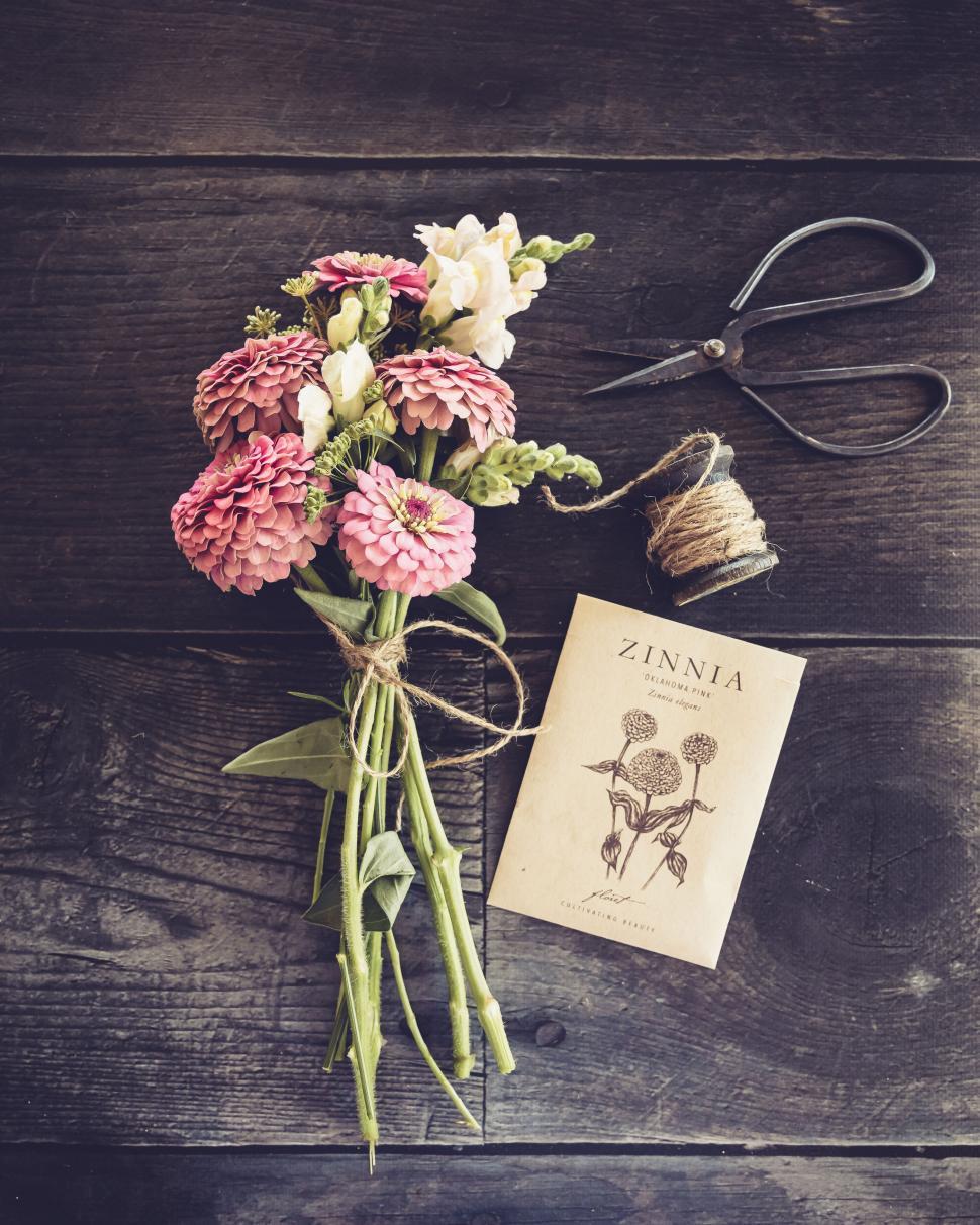 Free Image of Bouquet of zinnias, tied with twine, placed on a rustic wooden table. 