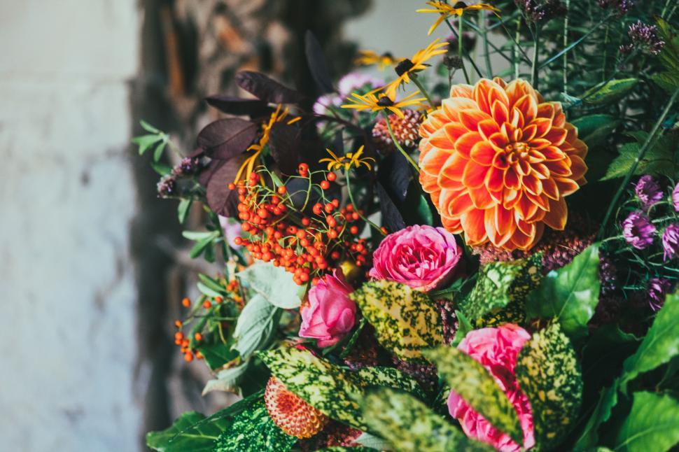 Free Image of Colorful bouquet with zinnia, roses, and berries creating joyful display. 