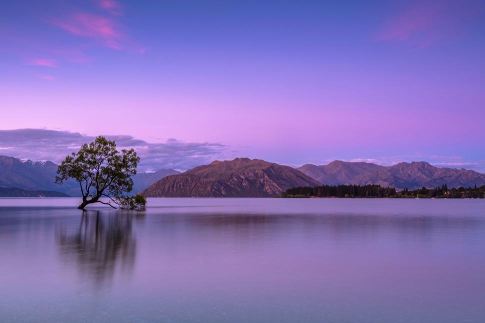 Free Image of Solitary tree in a tranquil lake with a mountainous backdrop 