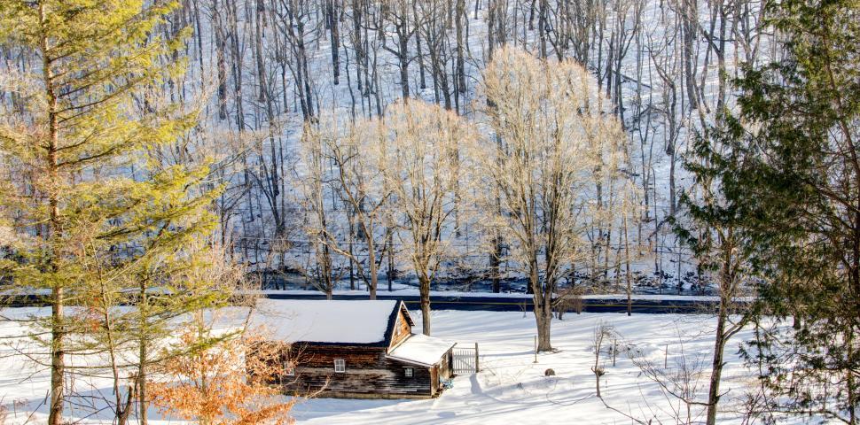 Free Image of Snow-covered cabin in a forest during winter surrounded by trees 