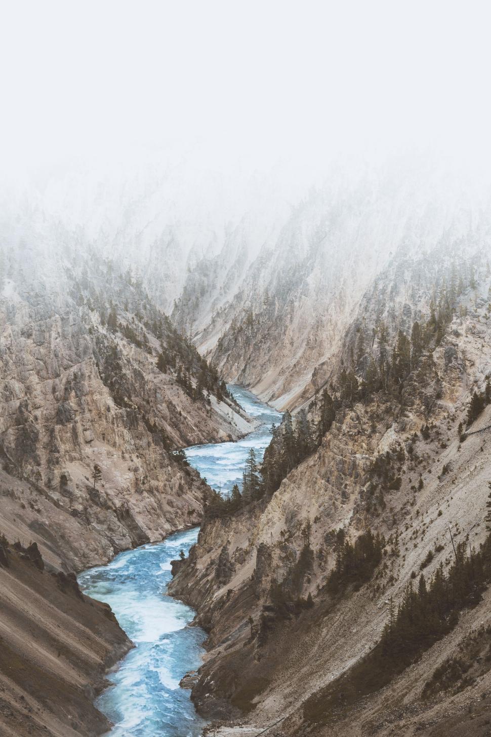 Free Image of Mountain river flowing through rocky canyon with pine trees. 