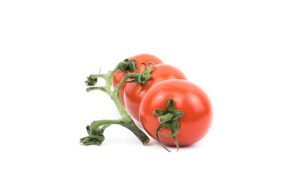 Free Image of Three ripe red tomatoes on a vine displayed against a white background. 