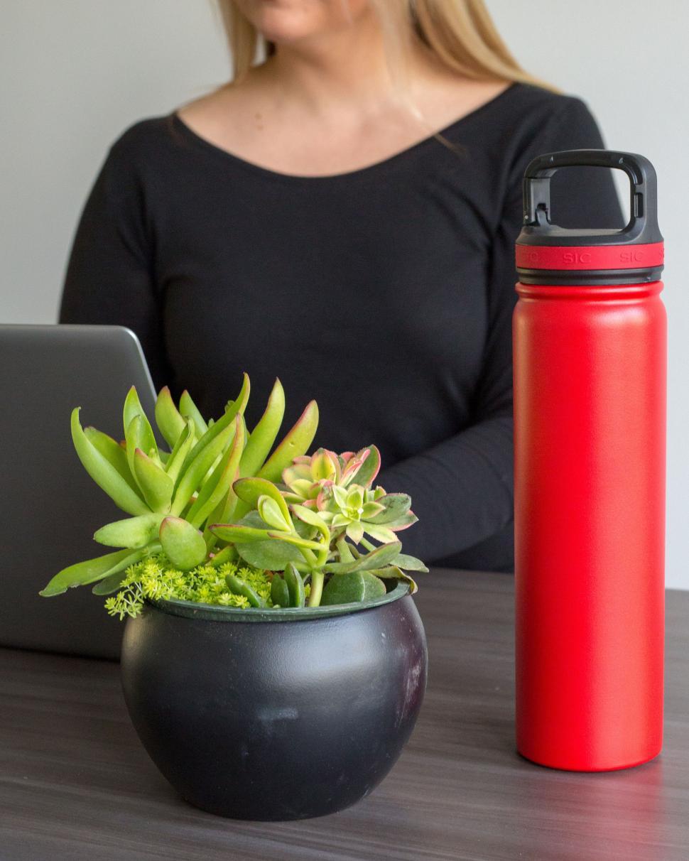 Free Image of Woman working at a desk with laptop, plant and red bottle. 