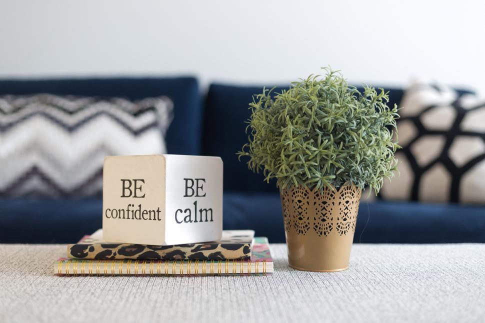 Free Image of Inspirational decor White cube with messages beside potted plant 