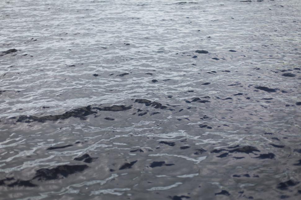 Free Image of Close-up of water surface with gentle ripples and reflections 