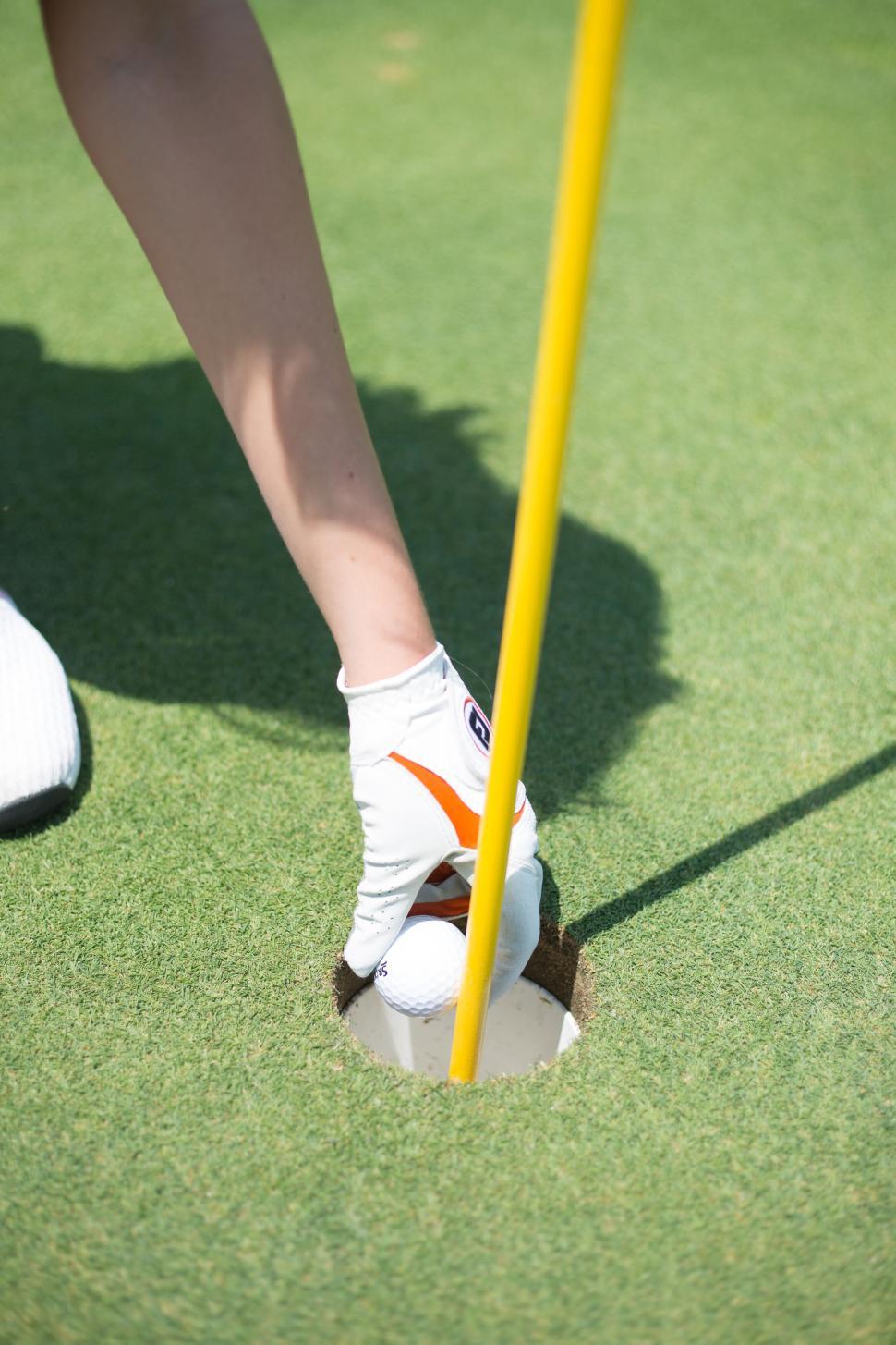 Free Image of Golf player retrieving ball from hole on the green field 