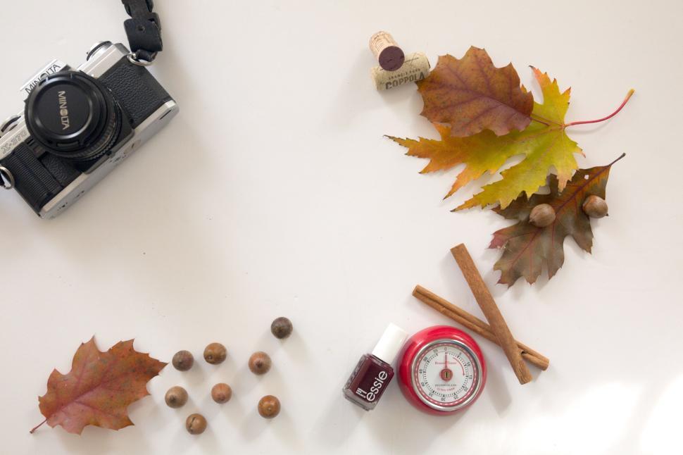 Free Image of Camera and autumn items like leaves, cinnamon sticks arranged creatively. 