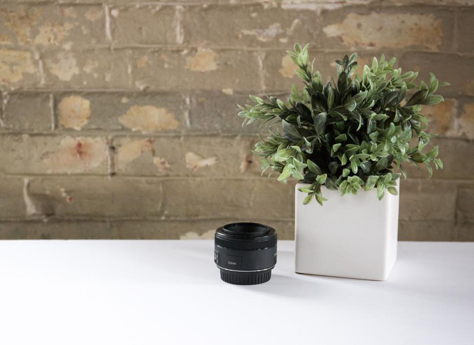 Free Image of Camera lens and potted plant on white table against brick wall. 