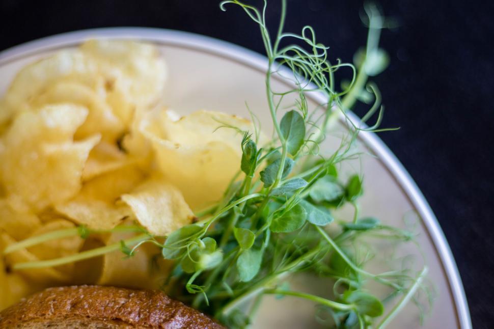 Free Image of Plate with chips, a bun, and garnished with fresh herbs 