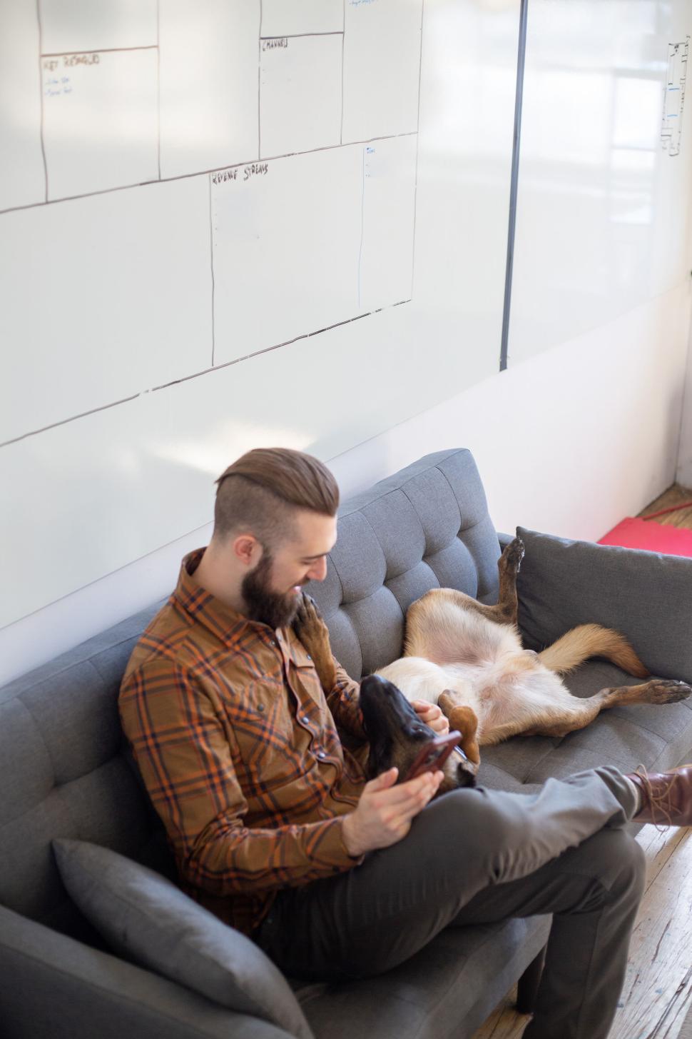 Free Image of Man relaxing with dog on sofa checking phone in a modern office 