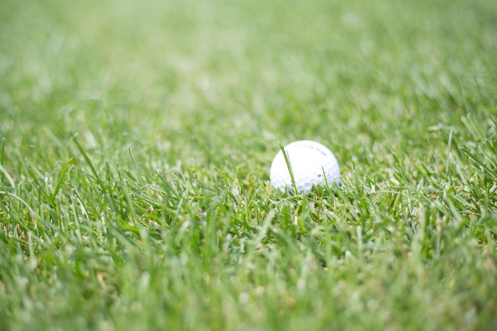 Free Image of Close-up of a white golf ball lying on lush green grass outdoors 