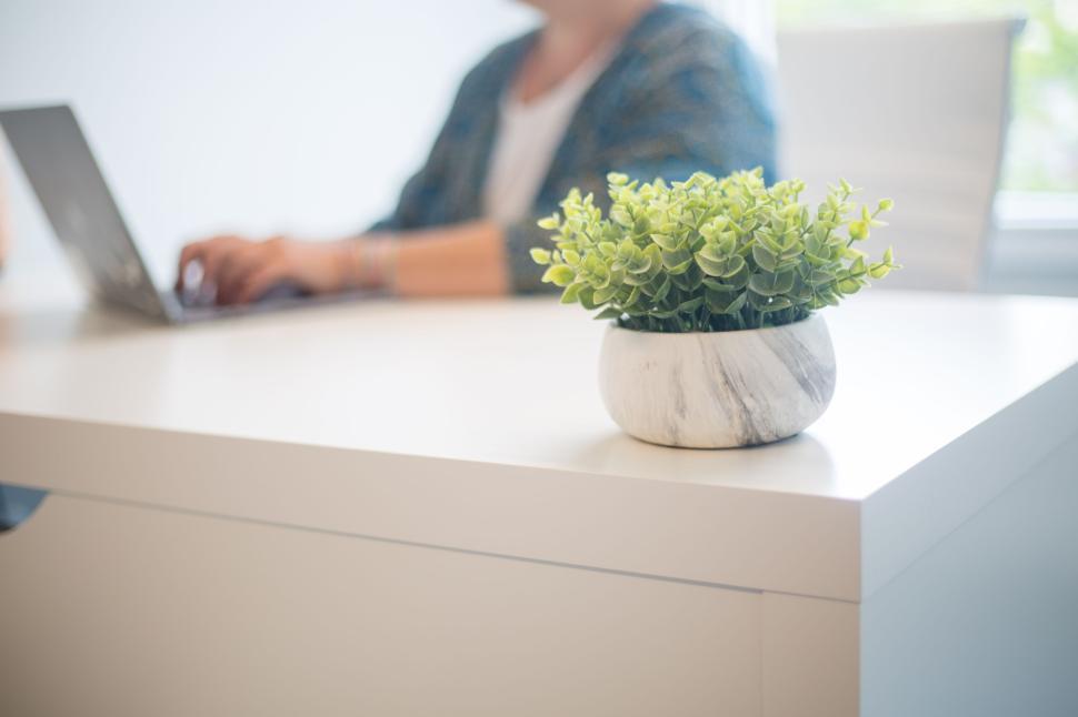 Free Image of Person working on laptop with plant on white desk in modern office 