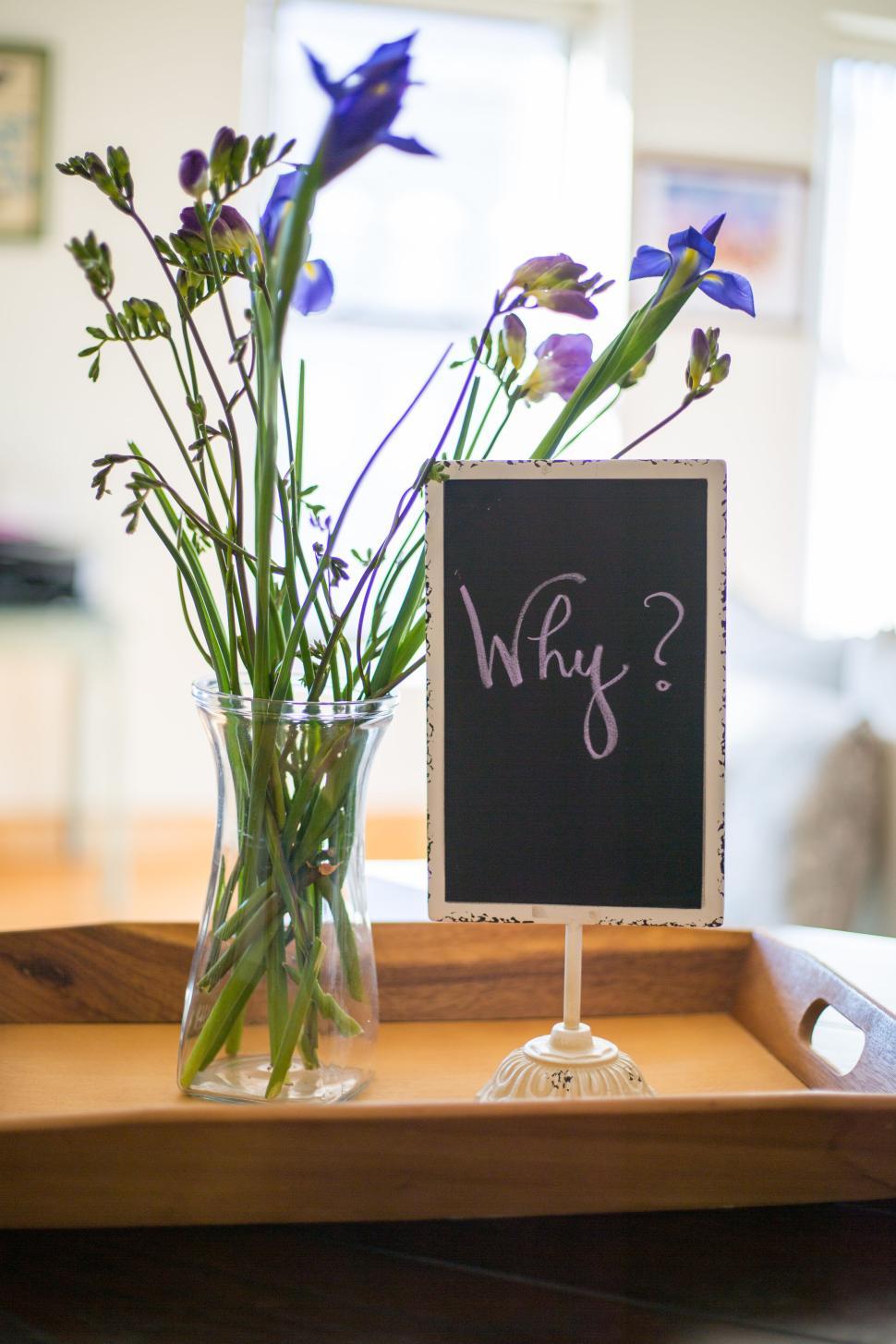 Free Image of Purple flowers in a vase with a chalkboard sign displaying  Why 