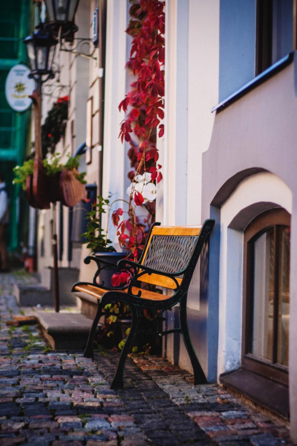 Free Image of Vintage street scene with bench and ivy-covered wall 