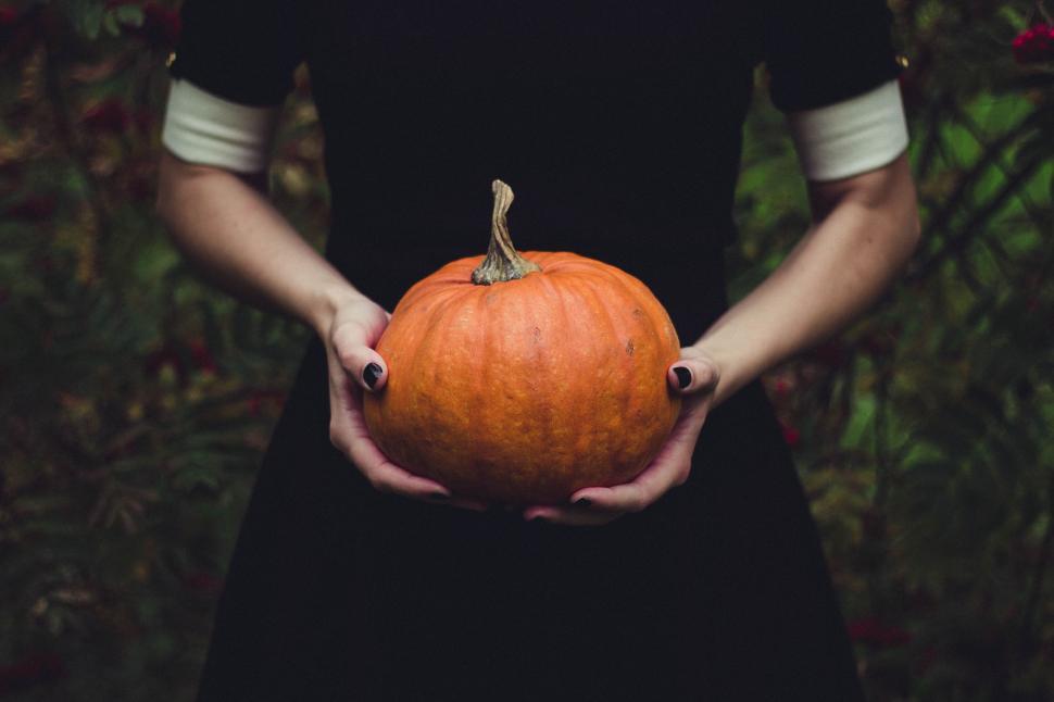 Free Image of Person holding a single pumpkin on a dark background for autumn 