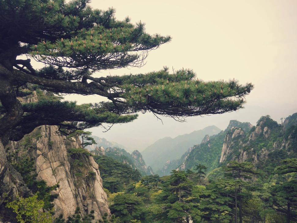 Free Image of Majestic mountains and forests with mist and scenic landscape views 