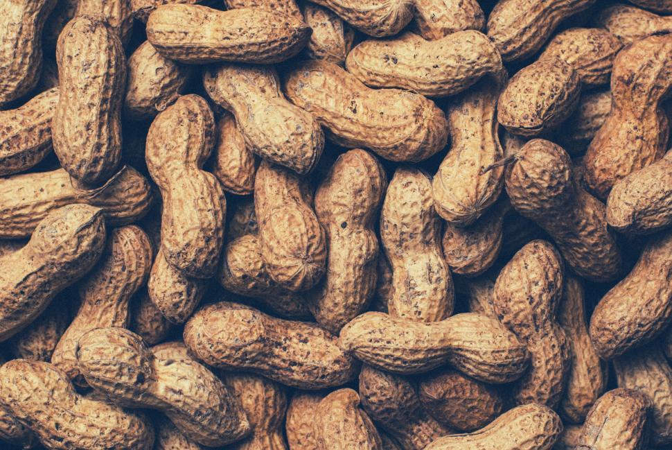 Free Image of A pile of unshelled roasted peanuts placed together with rough texture. 