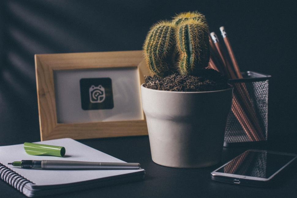 Free Image of Desktop with cactus in white pot, framed photo, pens, phone, and book. 