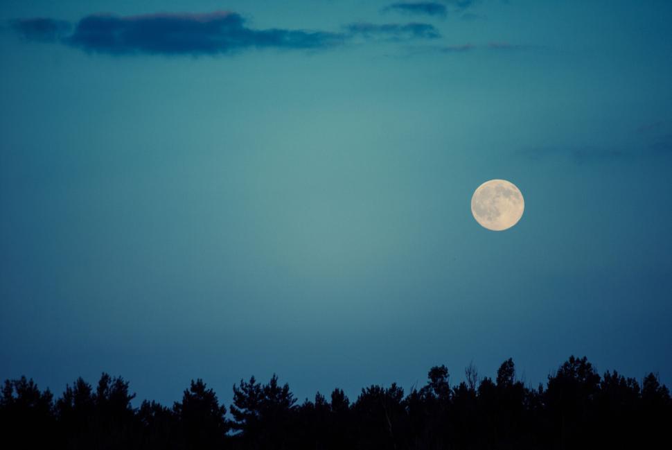 Free Image of Full moon rising above the trees against a twilight sky, nature scene. 